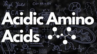 Acidic Amino Acids Aspartate amp Glutamate  MCAT [upl. by Obeded515]