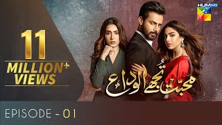 Mohabbat Tujhe Alvida Episode 1  English Subtitles  HUM TV Drama 17 June 2020 [upl. by Marston]