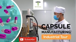 Capsules Manufacturing Process  Soft Gelatin Capsules [upl. by Previdi]