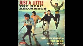 The Beau Brummels  Just A Little [upl. by Rehtaeh]