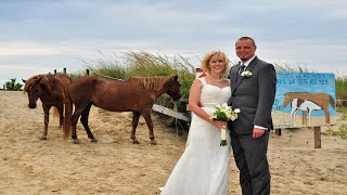 Assateague Weddings [upl. by Masao]