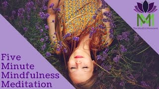 5 Minute Mindfulness Meditation [upl. by Lachance]