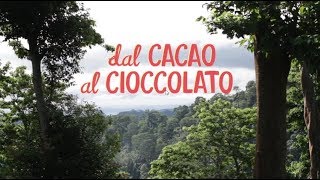 Dal cacao al cioccolato  The Fair Trade Cocoa Journey [upl. by Ittocs]