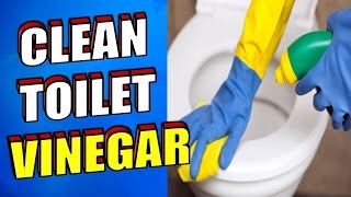 How To Clean A Toilet With Vinegar [upl. by Kenwrick418]