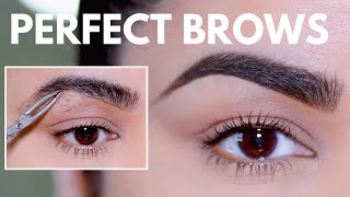 HOW TO GROOM SHAPE amp MAINTAIN EYEBROWS AT HOME BEGINNER FRIENDLY [upl. by Augusto396]