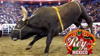 ¡TORNEO REY DE MÉXICO 2020 30 DE LOS MEJORES TOROS DE REPARO DE MÉXICO Y EUA [upl. by Auston145]