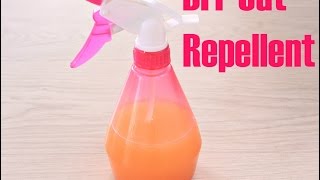 DIY CAT REPELLENT [upl. by Shabbir]