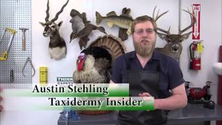 Taxidermy Insider℠ Learn Taxidermy Online [upl. by Lipscomb429]