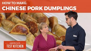 How to Make Pork Dumplings From Scratch [upl. by Brooks]