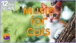 NO ADS 12 Hours of Extremely Relaxing Cat Music [upl. by Brasca974]