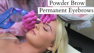 TATTOOED EYEBROWS quotPowder Browquot Experience Before amp After  ARTFUL BEAUTY [upl. by Kreegar]