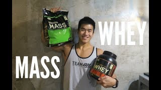 WHEY PROTEIN or MASS GAINER Tips for Beginner [upl. by Acilegna]