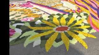 Italy Infiorata in Spello  Italy [upl. by Tyika]