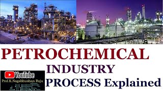 Petrochemical Industry  Process Overview  Detailed Explanation [upl. by Yendahc543]