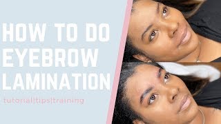 Eyebrow Lamination Tutorial Step By Step Brow Lamination [upl. by Blankenship]