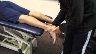 Assessing the Subtalar Joint [upl. by Carper]