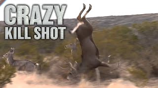 Craziest Crossbow Deer Hunt Ever [upl. by Conlen123]