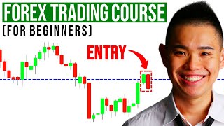 The Ultimate Forex Trading Course For Beginners [upl. by Plume]