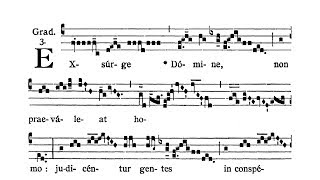 Dominica III in Quadragesima  Graduale Exsurge Domine [upl. by Aikemehs77]