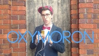 Seriously Funny Oxymorons  Mr Palindromes Kids Vlog 8 [upl. by Atenik]