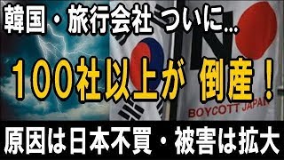 韓国の旅行会社、ついに「100社以上」が倒産・廃業した！― 原因は日本旅行ボイコット運動 ― 被害・損害の拡大が懸念される [upl. by Ivory]