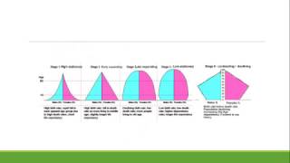 The Demographic Transition Model Explained [upl. by Arrac]