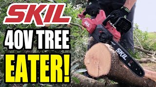 Skil 40V Chainsaw Review  Perfect for Storm Prep and Yard Cleanup [upl. by Arratoon]