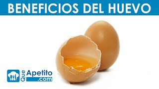 8 Propiedades y Beneficios del Huevo  QueApetito [upl. by Merras]