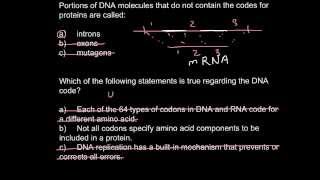 Introns exons and codons [upl. by Solram]