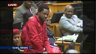 EFF disrupts parliament [upl. by Panaggio]