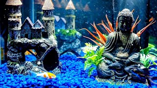 Fish Tank for Cats To Watch  12 Hour Aquarium  Underwater Bubble Sounds [upl. by Polish]