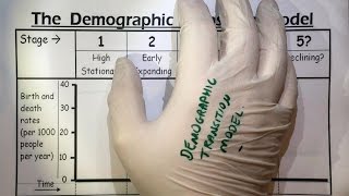 Demographic Transition Model overview  AQA GCSE Geography  3221 [upl. by Riker469]