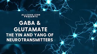 Neurotransmitters and Mood GABA amp Glutamate [upl. by Lettig]