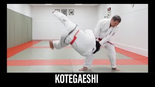 KOTEGAESHI Japanese Jujutsu [upl. by Marchese]