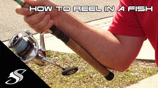 How to Reel in a Fish for Beginners [upl. by Akemrej729]