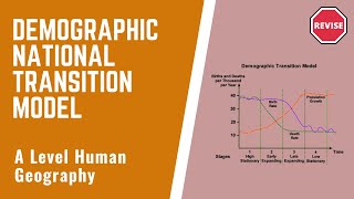 A Level Human Geography  The Demographic Transition Model [upl. by Colvin]