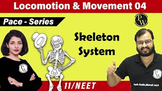 Movement and Locomotion 04  Skeleton System  Class 11  NEET  PACE SERIES [upl. by Ajan120]