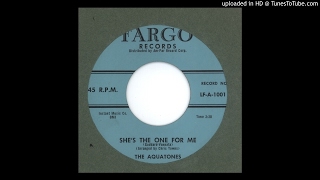 Aquatones The  Shes The One For Me  1958 [upl. by Naiva]