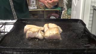 What is Corvina Seabass [upl. by Sarina]