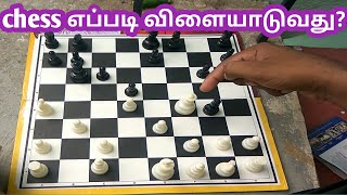 how to play chess for beginners in tamil  how to play chess in tamil  play chess in tamil  YTV [upl. by Oivatco]