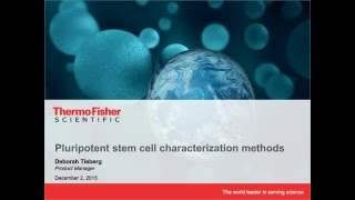 Pluripotent stem cell characterization methods [upl. by Leira]