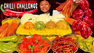 Extremely Spicy Chillies Challenge  Eating Different Types Of Chilly Curry  Spicy Food Mukbang [upl. by Adrianna]