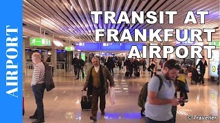 TRANSIT WALK AT FRANKFURT Airport FRA Terminal 1  Connection Flight Transfer Arriving amp Departing [upl. by Asiilanna]