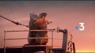 France 3 Marmots Idents 2018 HD [upl. by Marelya506]