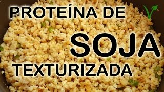 Como preparar a Proteína de soja texturizada carne de soja  TUTORIAL por Fran Dutra [upl. by Emlin]