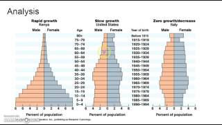 Population Pyramids and Demographic Transition [upl. by Hagep]