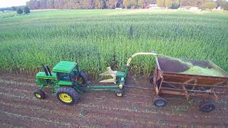 Chopping small grain and corn silage [upl. by Corly]