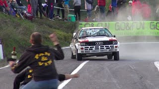 Best of Audi Quattro Rally  Pure Sound [upl. by Ahseekat]