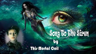 SONG TO THE SIREN With Lyrics  This Mortal Coil feat Elizabeth Fraser [upl. by Rolf]