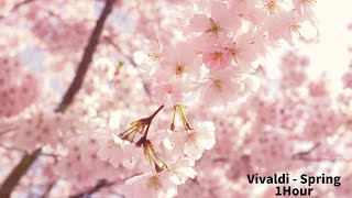 Vivaldi  Four Seasons Spring 1Hour Classic [upl. by Kciredec145]